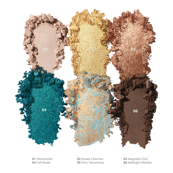 Paleta de sombras ChromaPlus de 6 colores 2