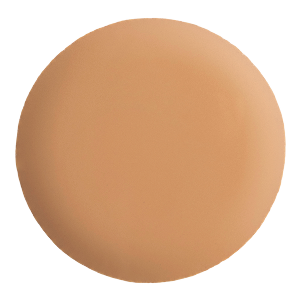 PÜR 4-in-1 Skin Tint Mineral Sunscreen Broad Spectrum SPF 50 #2