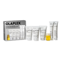 The Mini Essentials Hair Set