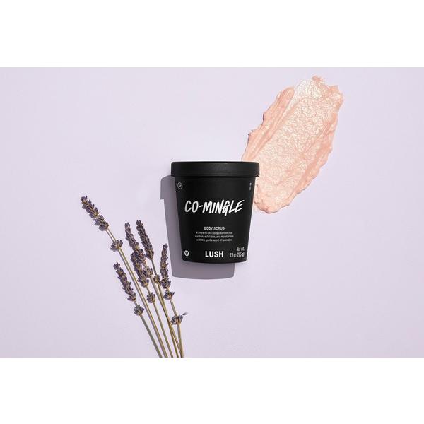 LUSH Co-Mingle Body Scrub #3