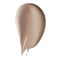 Skin Solution Serum Concealer - 2N