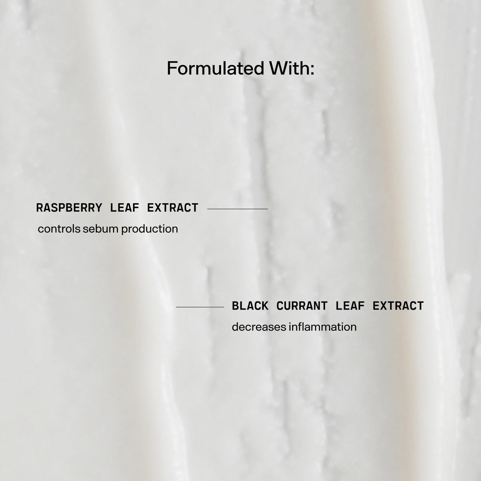 Day Maker Microcrystal Exfoliator