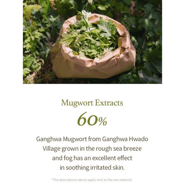 I'm From Mugwort Gel Cleanser #4