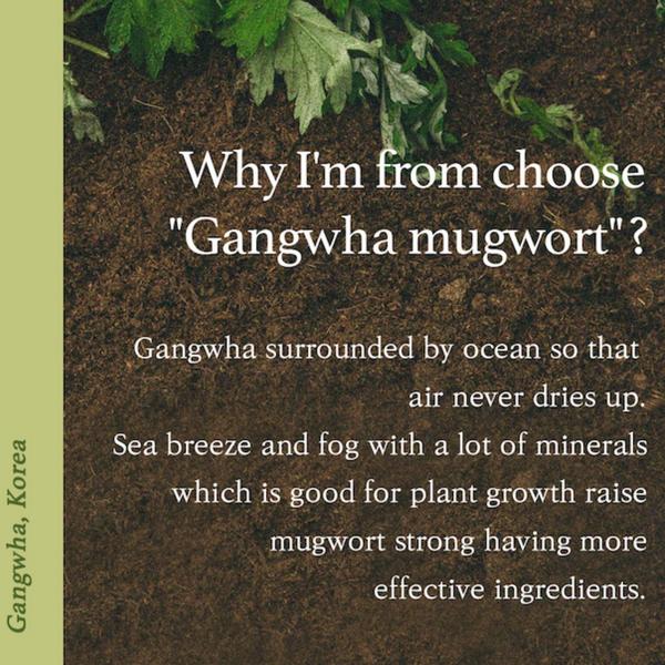 I'm From Mugwort Essence #5
