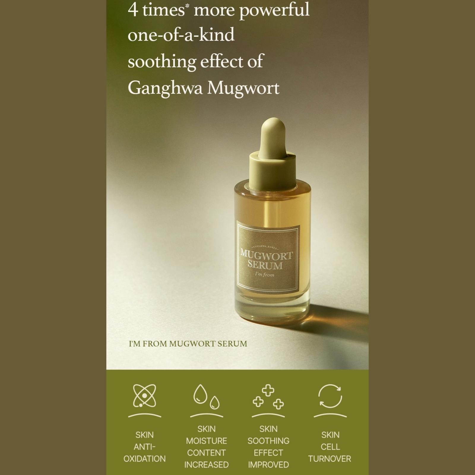 Mugwort Serum