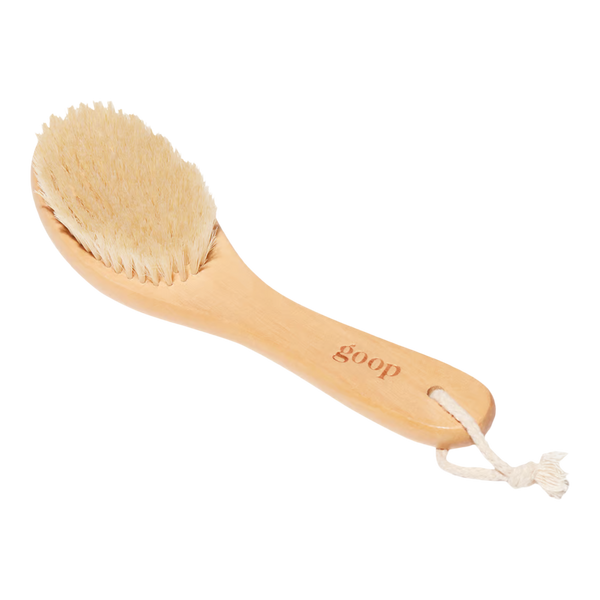 goop Ultimate Dry Brush #2