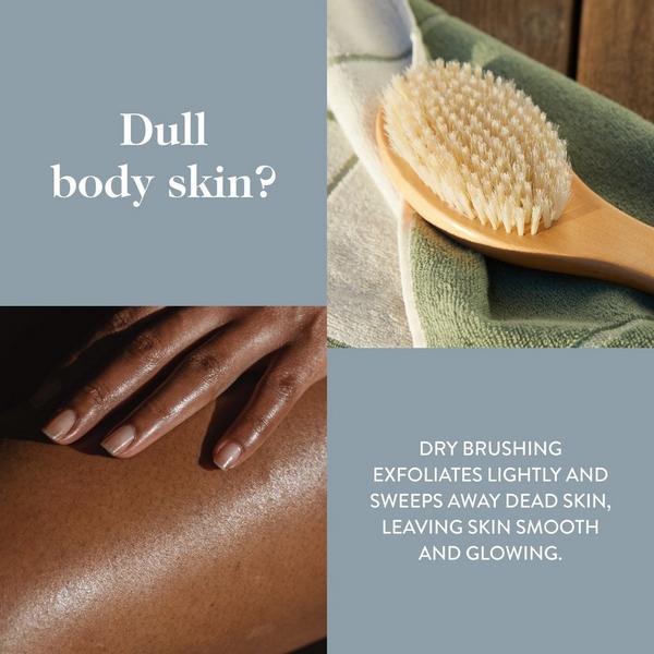 goop Ultimate Dry Brush #4
