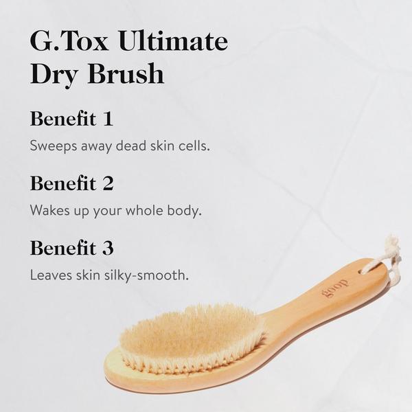 goop Ultimate Dry Brush #5