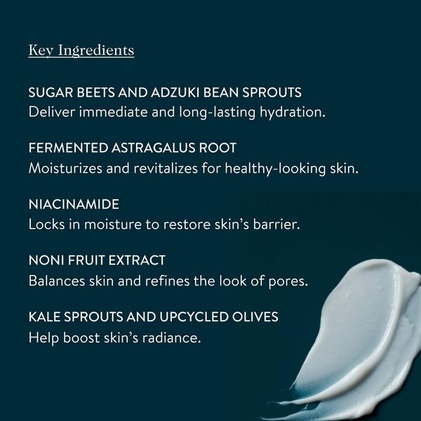 goop 72-Hour Supercharged Hydrating Water-Cream #6