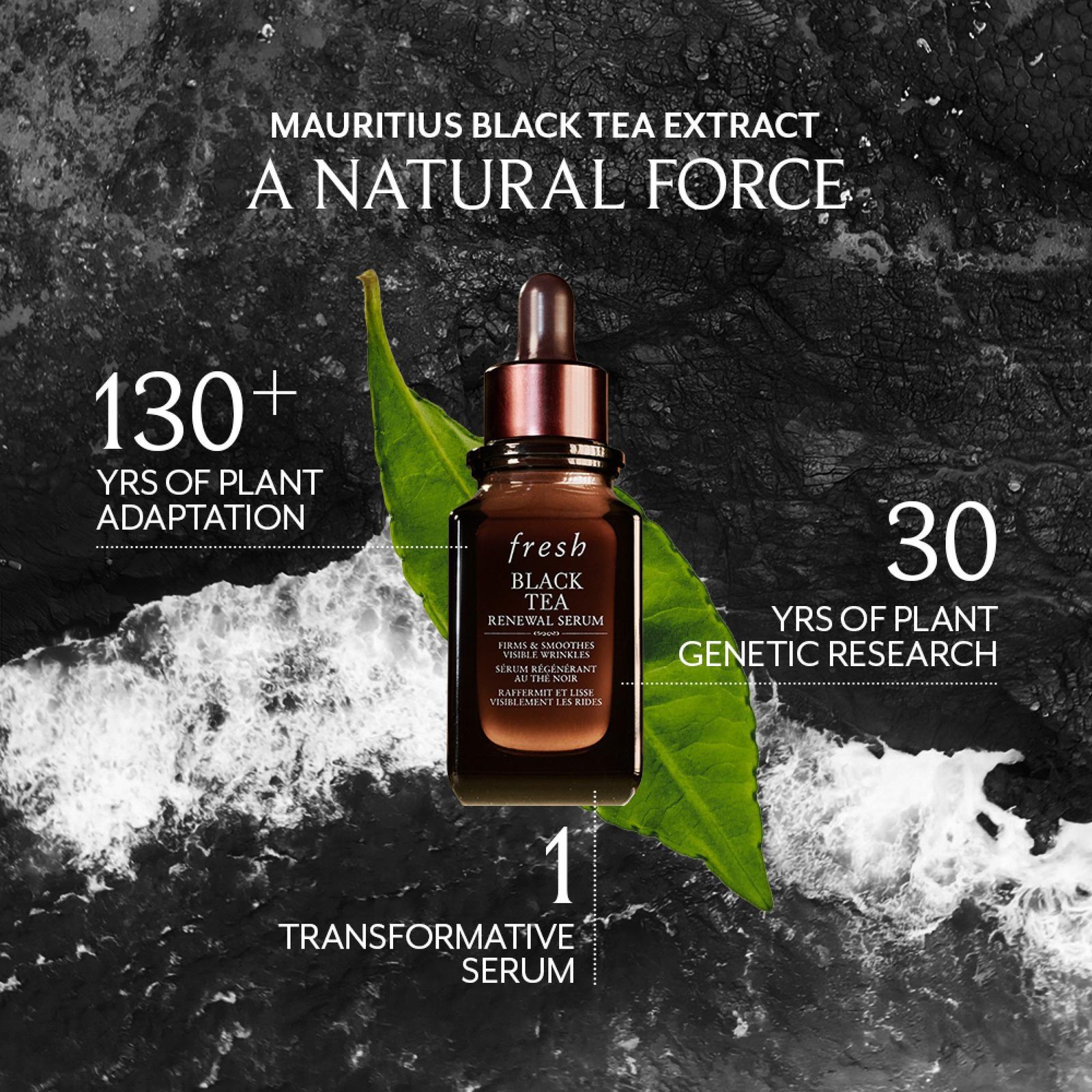 Black Tea Renewal Serum - 1.0 oz