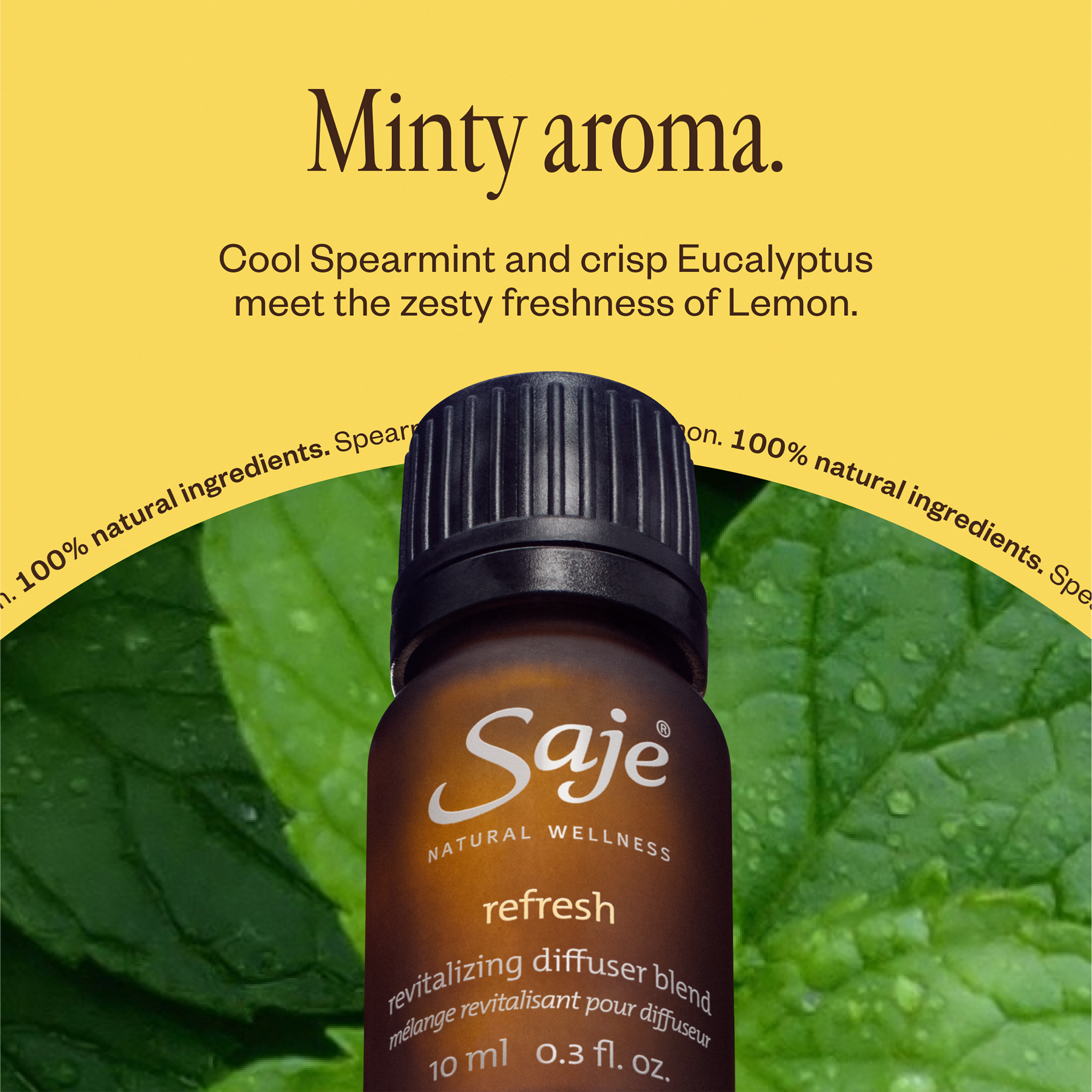 Saje Natural Wellness Refresh Diffuser Blend - Thumbnail 2