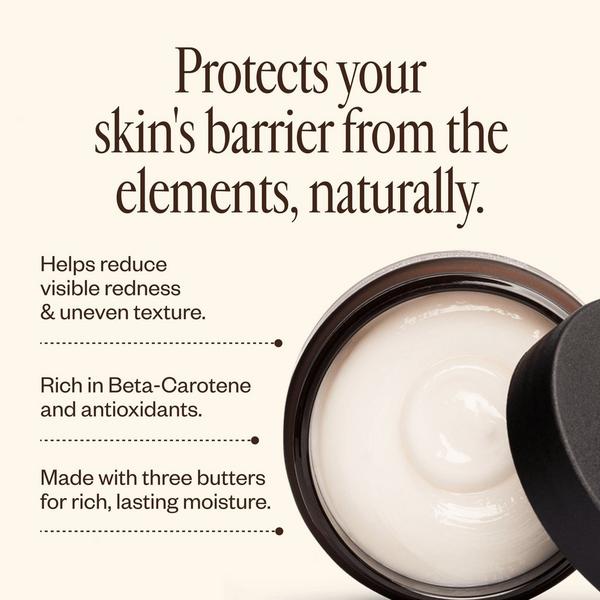 Saje Natural Wellness Dermedial Carrot+ Restorative Barrier Body Butter #3