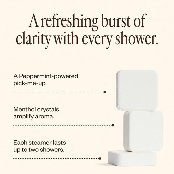 Saje Natural Wellness Shower Steamer Trio #3