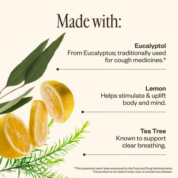 Saje Natural Wellness Shower Steamer Trio #4