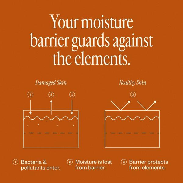 Saje Natural Wellness Dermedial Carrot+ Restorative Barrier Lotion #7