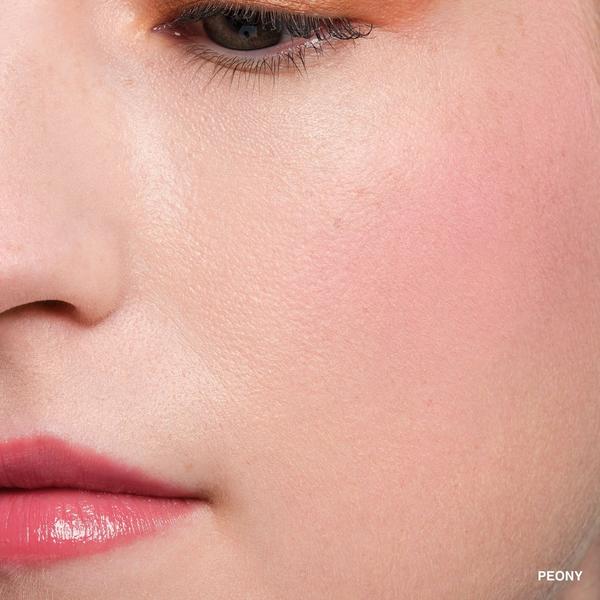 BOBBI BROWN Pot Rouge Velvet Matte Cream Blush for Cheeks & Lips #3