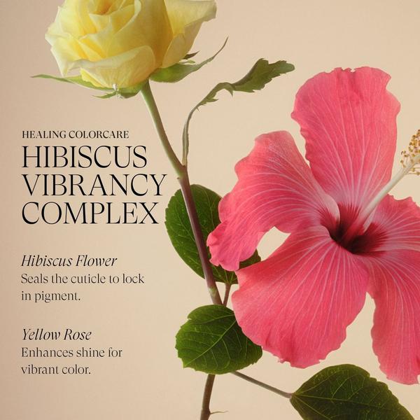 L'anza Healing ColorCare Holiday Trio #5