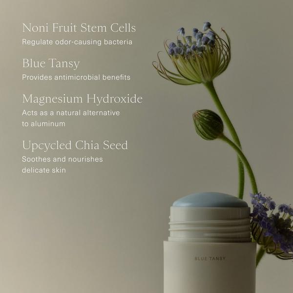 Oak Essentials Microbiome Balancing Deodorant #5