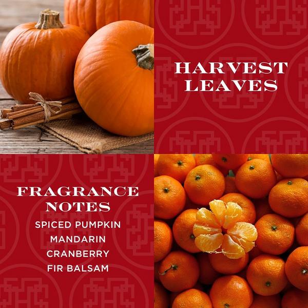 HomeWorx Harvest Leaves 1-Wick Scented Candle #3