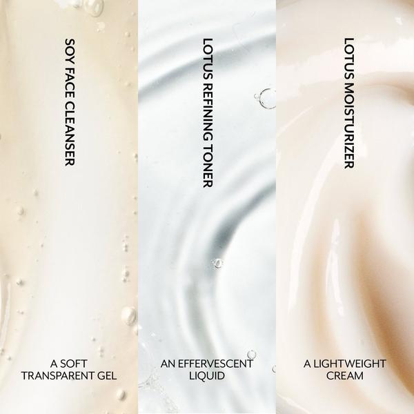 fresh Radiance Ready Gift Set #6