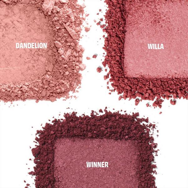 Benefit Cosmetics Cheek Score Blush Trio Palette #2