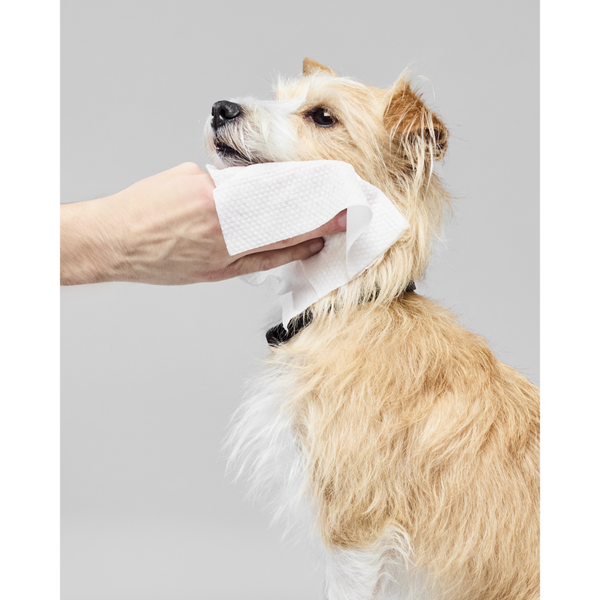 Paul Mitchell Fragrance Free Pet Wipes #5