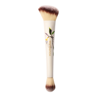Ambient Lighting Edit Brush II