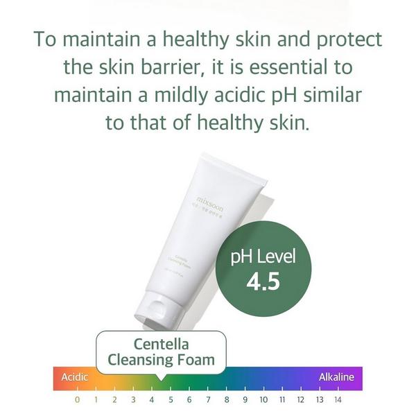 Mixsoon Centella Cleansing Foam #6