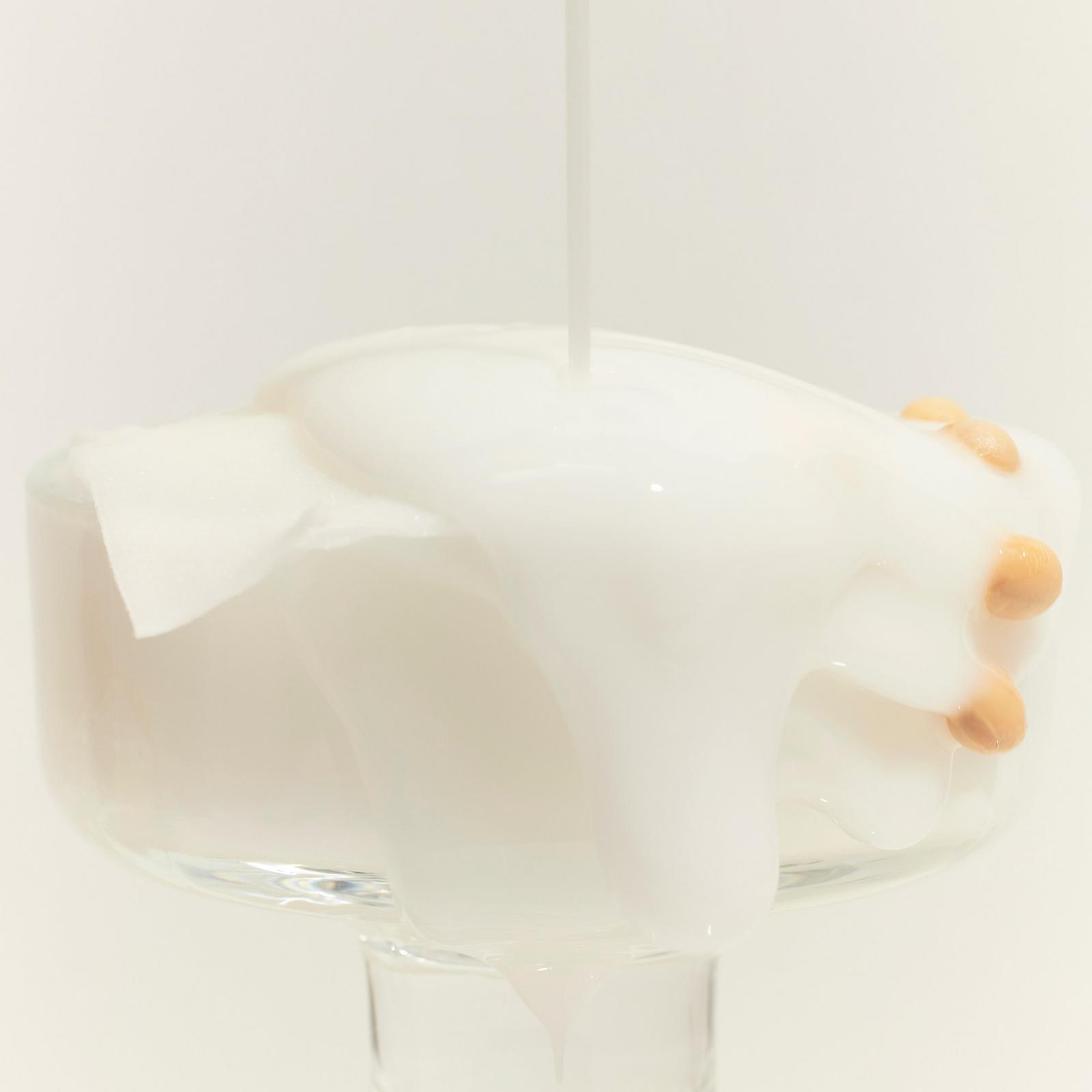 Soybean Milk Pad