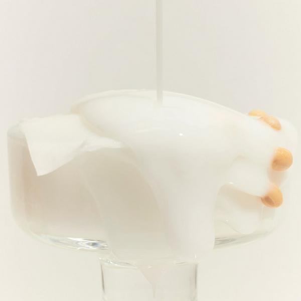 Mixsoon Soybean Milk Pad #5