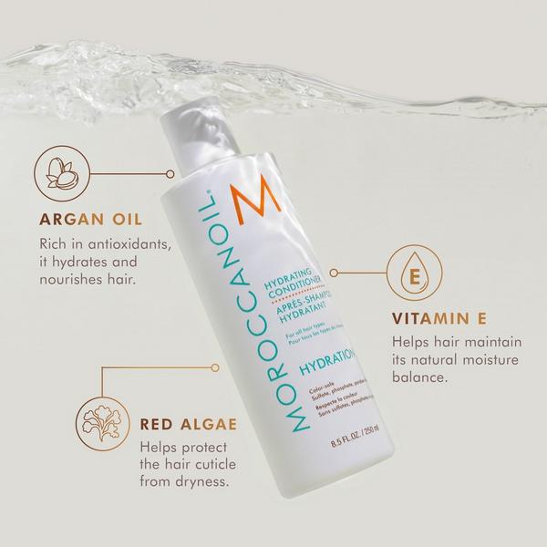 Moroccanoil Hydrating Conditioner #6