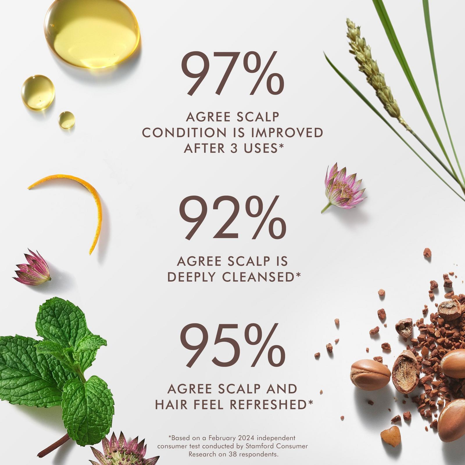 Purifying Pre-Wash Scalp Scrub