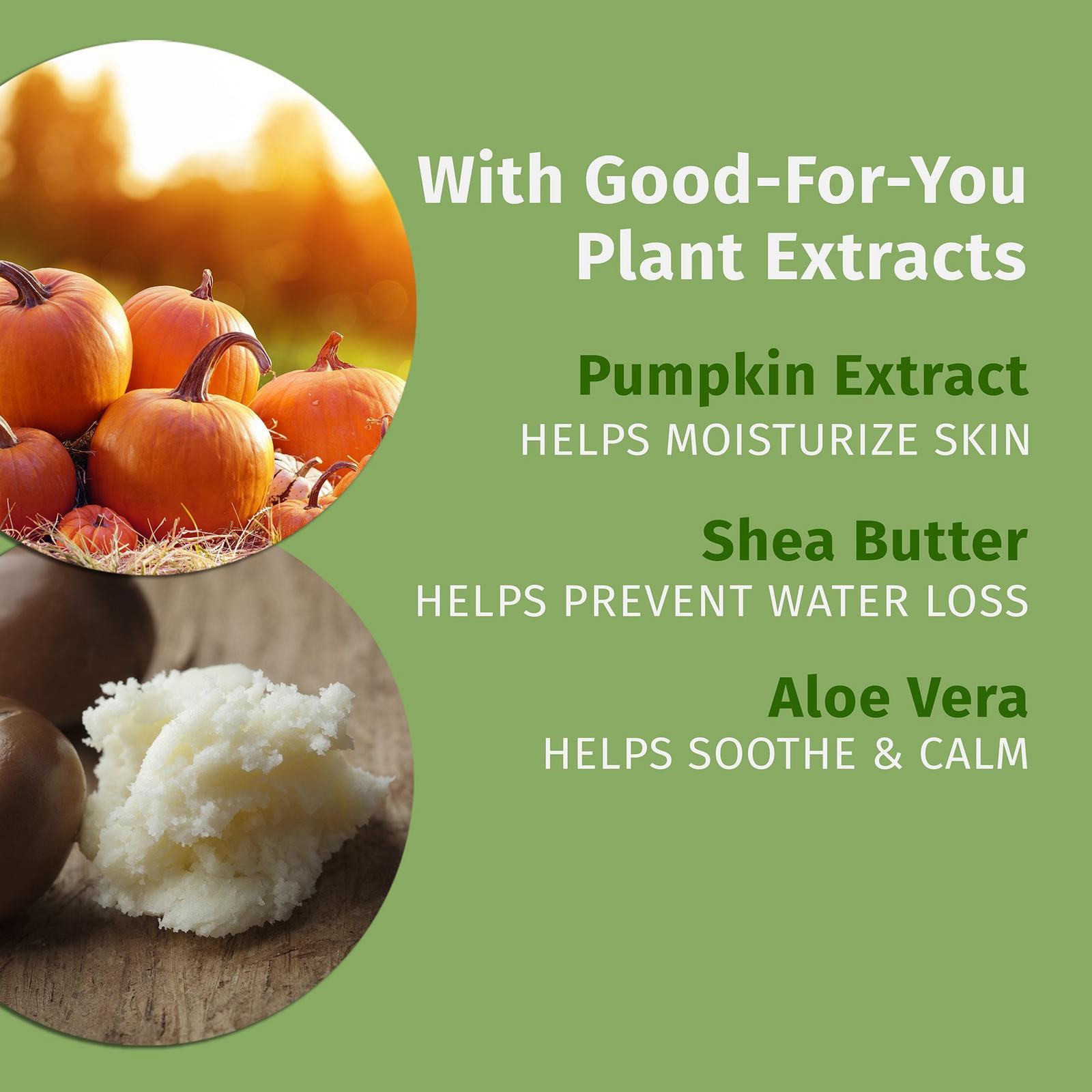 Limited Edition Spiced Pumpkin Pie Body Moisturizer - 17 oz