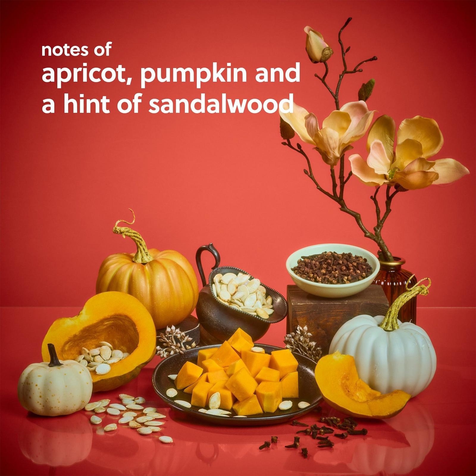 Sweet Punkin Shea Sugar Scrub
