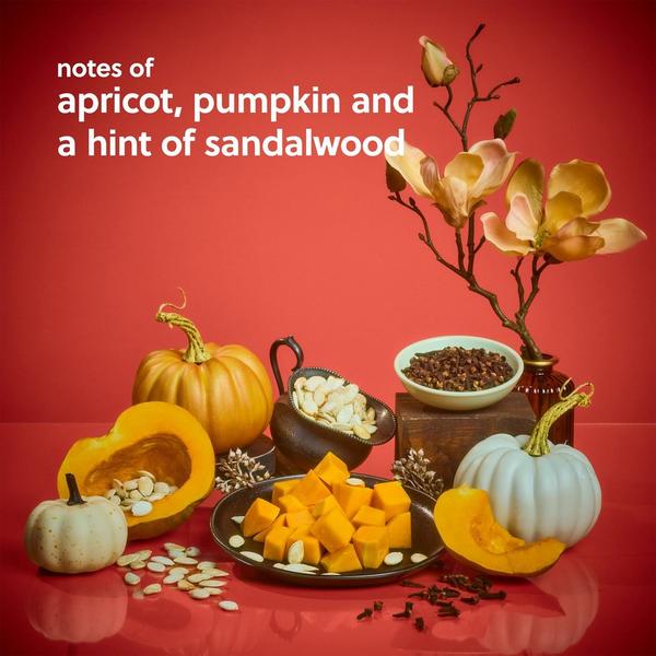 Tree Hut Sweet Punkin Shea Sugar Scrub #3