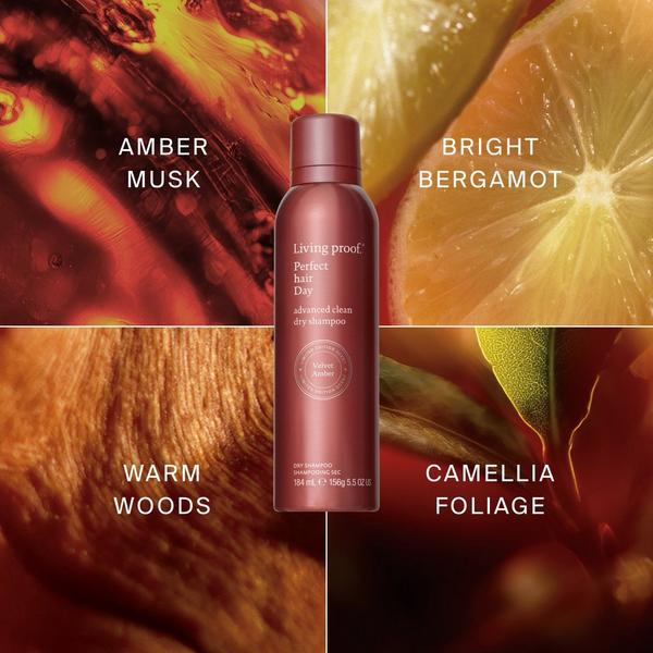Living Proof Perfect Hair Day Advanced Clean Dry Shampoo – Limited Edition Velvet Amber #6