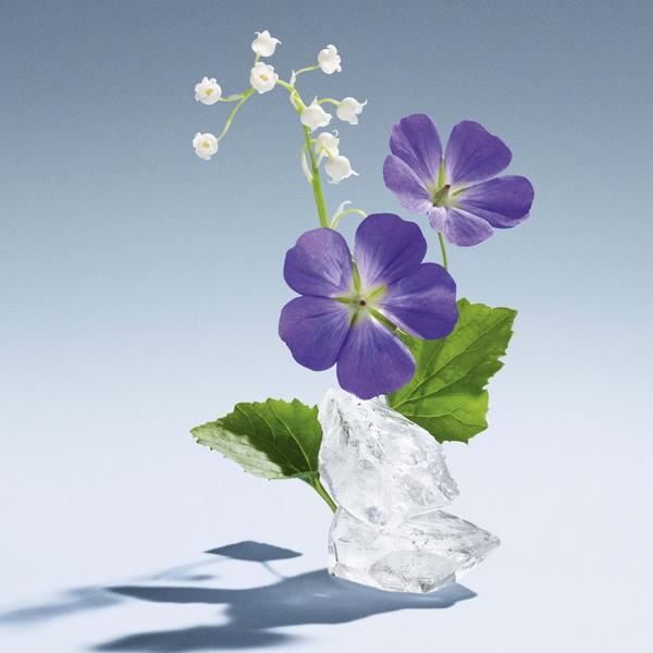 L'Eau Bleue Agua de Perfume 2