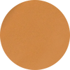 YP11