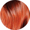 Auburn