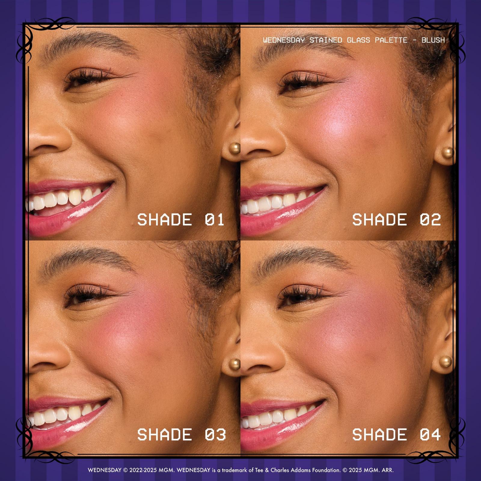Limited Edition Wednesday Stained Glass Blush Palette