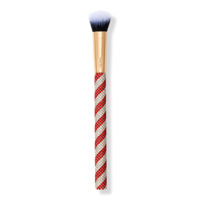 Tarte Free Paw Brush with Tarte Shape Tape full-size concealer purchase
