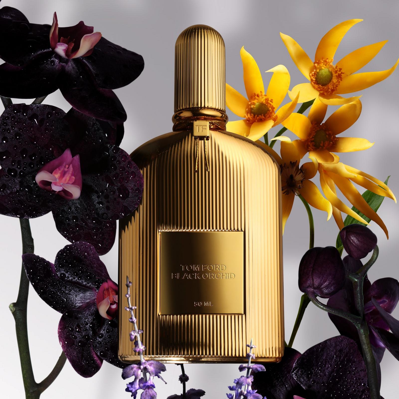 Black Orchid Discovery Set