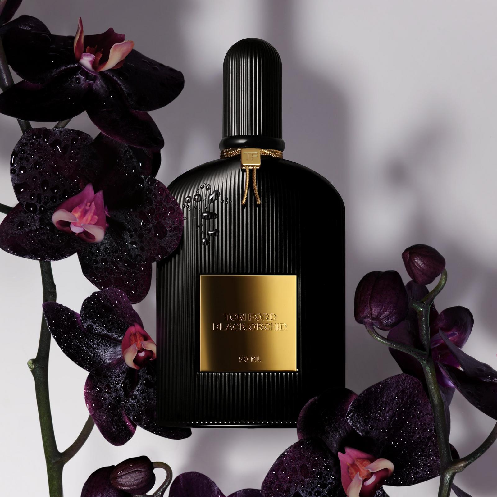 Black Orchid Discovery Set