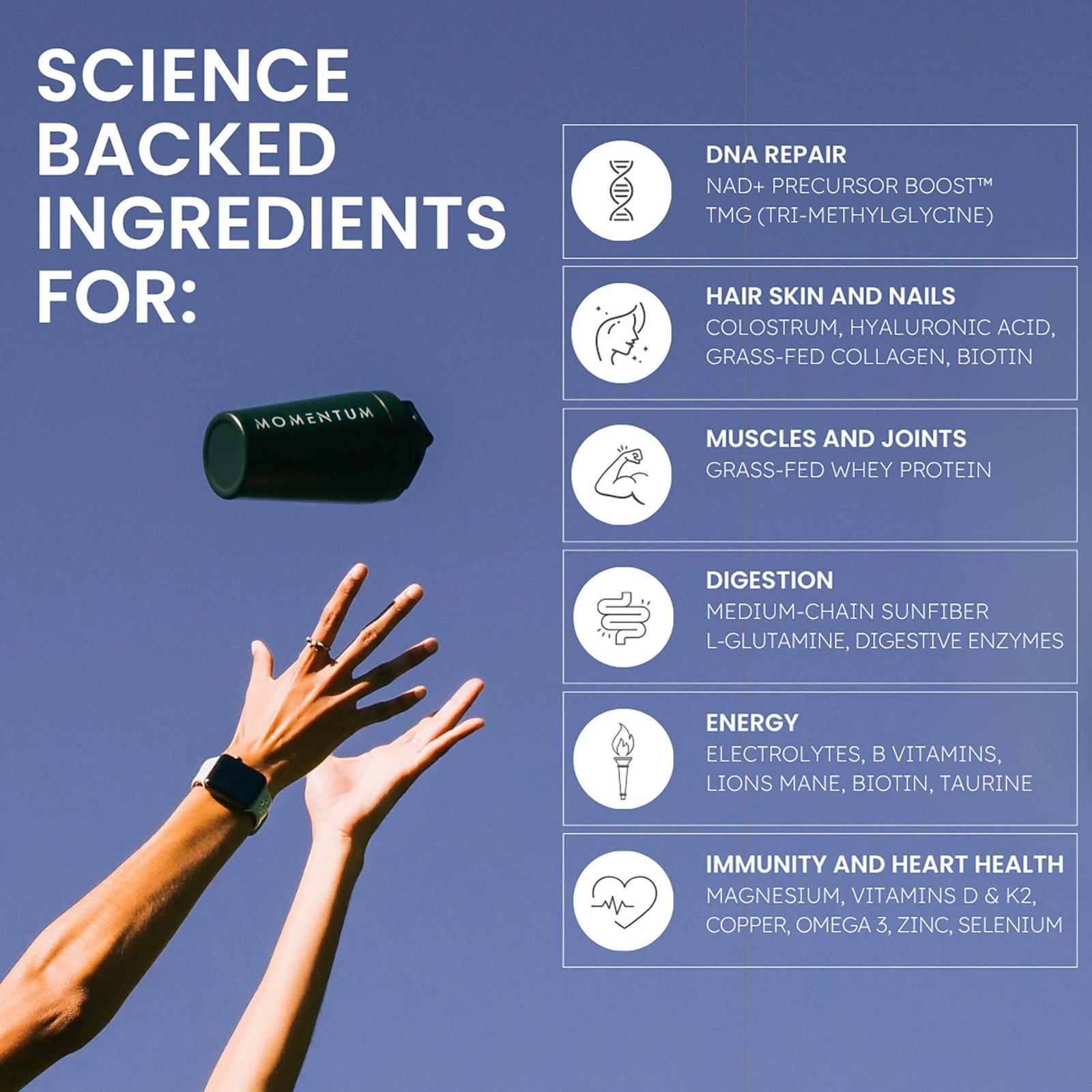 Longevity Shake - Chocolate