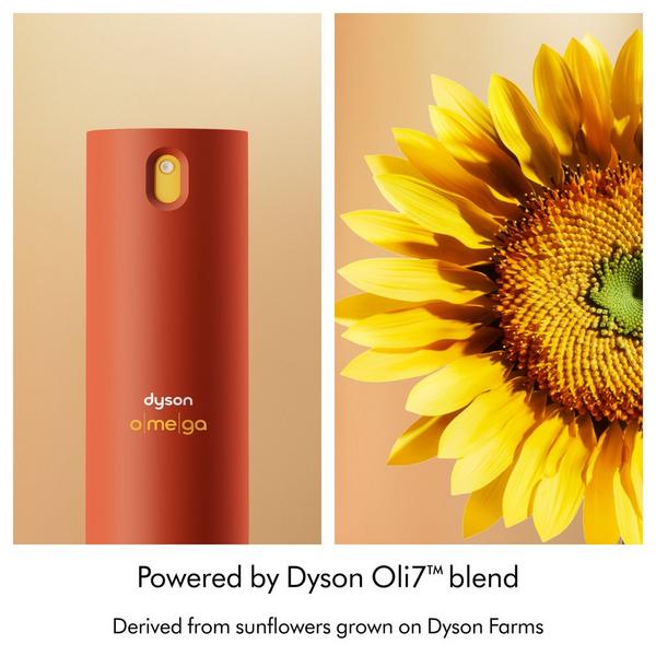 Dyson Omega Leave-In Conditioning Spray #3