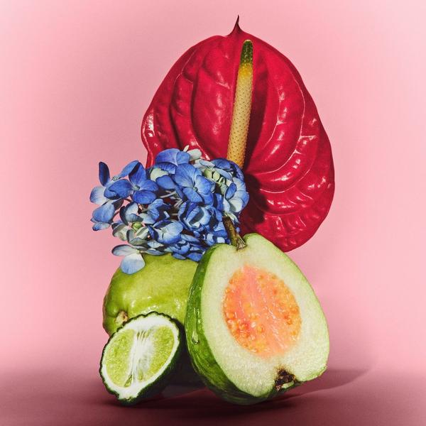 LE MONDE GOURMAND Thé de Goyave Eau De Parfum #5