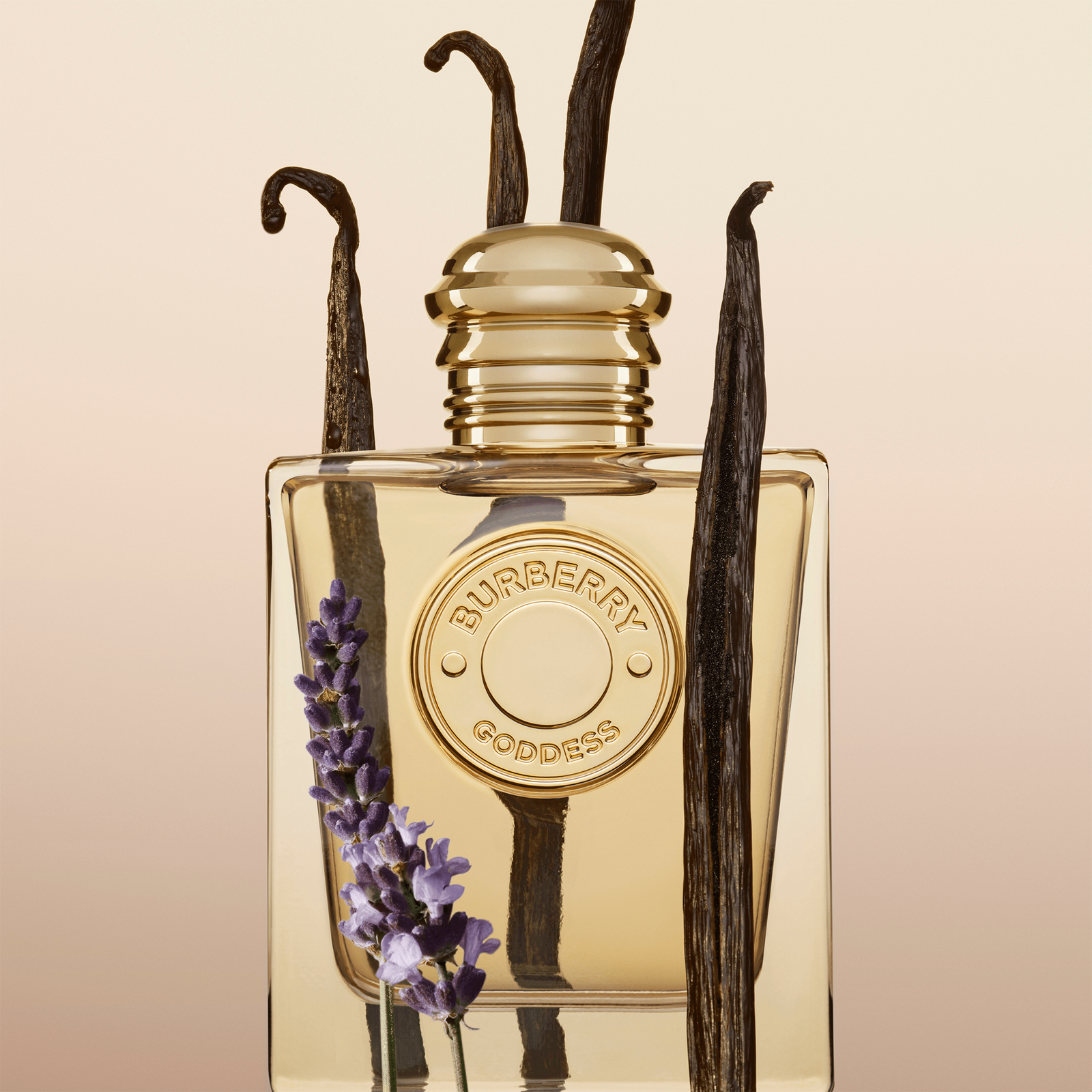 Burberry 2-Piece Mini Perfume Gift Set