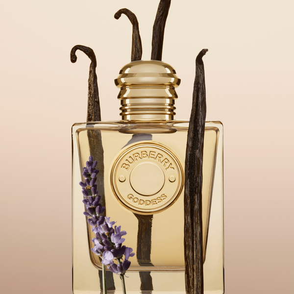 Set de Regalo Mini Perfume Burberry de 2 Piezas 4