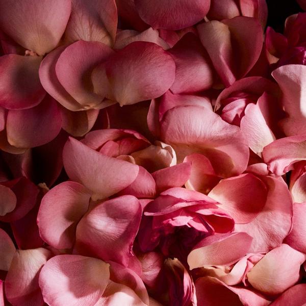 Each & Every This Love Rose & Vanilla Natural Fragrance Body Mist #4