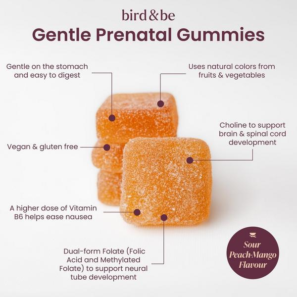 Bird&Be Gentle Prenatal Gummies #4